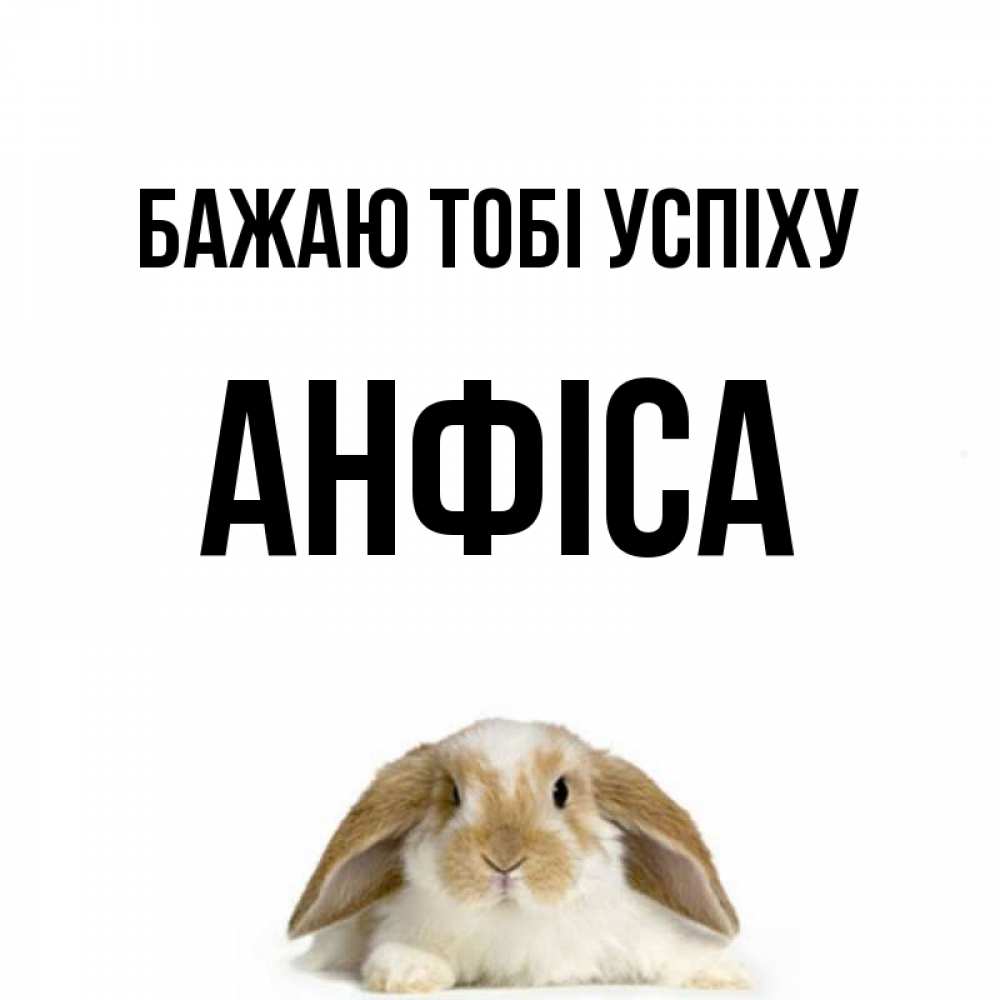 Открытка на каждый день з підписом, Анфіса Бажаю тобі успіху открытки с произвольным текстом который можно вставить в открытку и создать ее самостоятельно бесплатно онлайн Прикольна листівка з побажанням онлайн скачати безкоштовно 