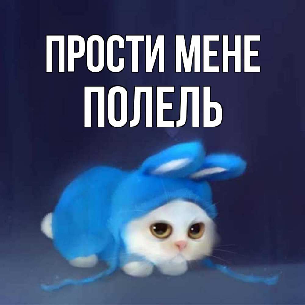 Открытка на каждый день з підписом, Полель Прости мене невинный котозай просит прощения Прикольна листівка з побажанням онлайн скачати безкоштовно 