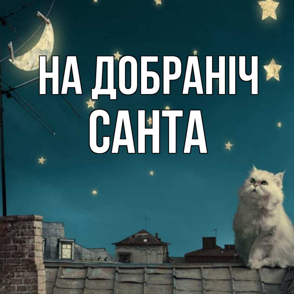 Открытка на каждый день з підписом, Санта На добраніч белый кот сидит на крыше Прикольна листівка з побажанням онлайн скачати безкоштовно 
