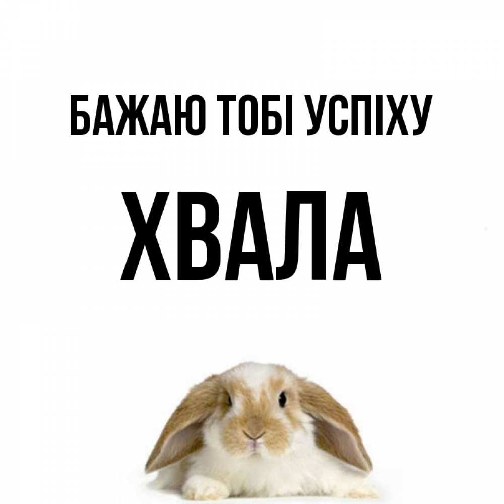 Открытка на каждый день з підписом, Хвала Бажаю тобі успіху открытки с произвольным текстом который можно вставить в открытку и создать ее самостоятельно бесплатно онлайн Прикольна листівка з побажанням онлайн скачати безкоштовно 