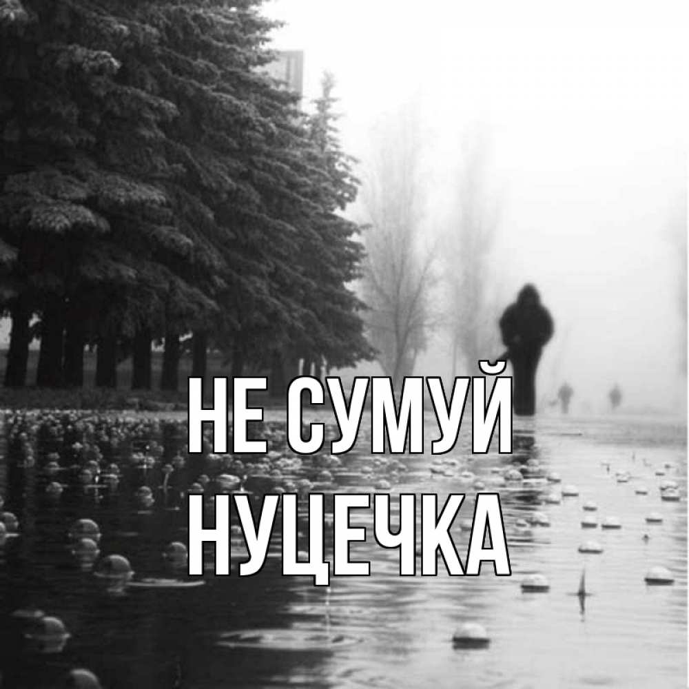 Открытка на каждый день з підписом, Нуцечка Не сумуй улица под дождем Прикольна листівка з побажанням онлайн скачати безкоштовно 