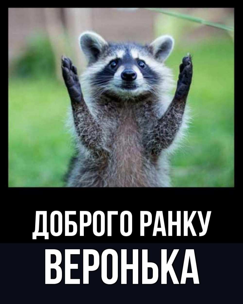 Открытка на каждый день з підписом, Веронька Доброго ранку хорошее настроение утречком Прикольна листівка з побажанням онлайн скачати безкоштовно 