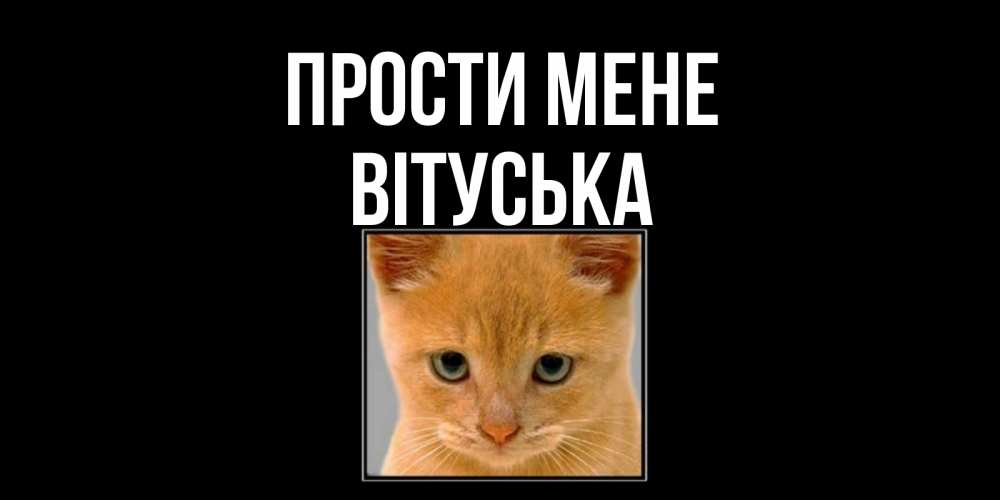 Открытка на каждый день з підписом, Вітуська Прости мене рыжий грустный кот просит прощения Прикольна листівка з побажанням онлайн скачати безкоштовно 