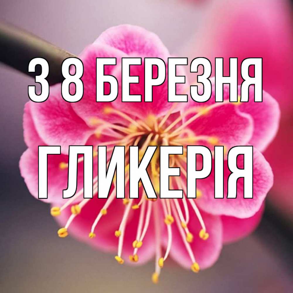 Открытка на каждый день з підписом, Гликерія З 8 БЕРЕЗНЯ цветы Прикольна листівка з побажанням онлайн скачати безкоштовно 