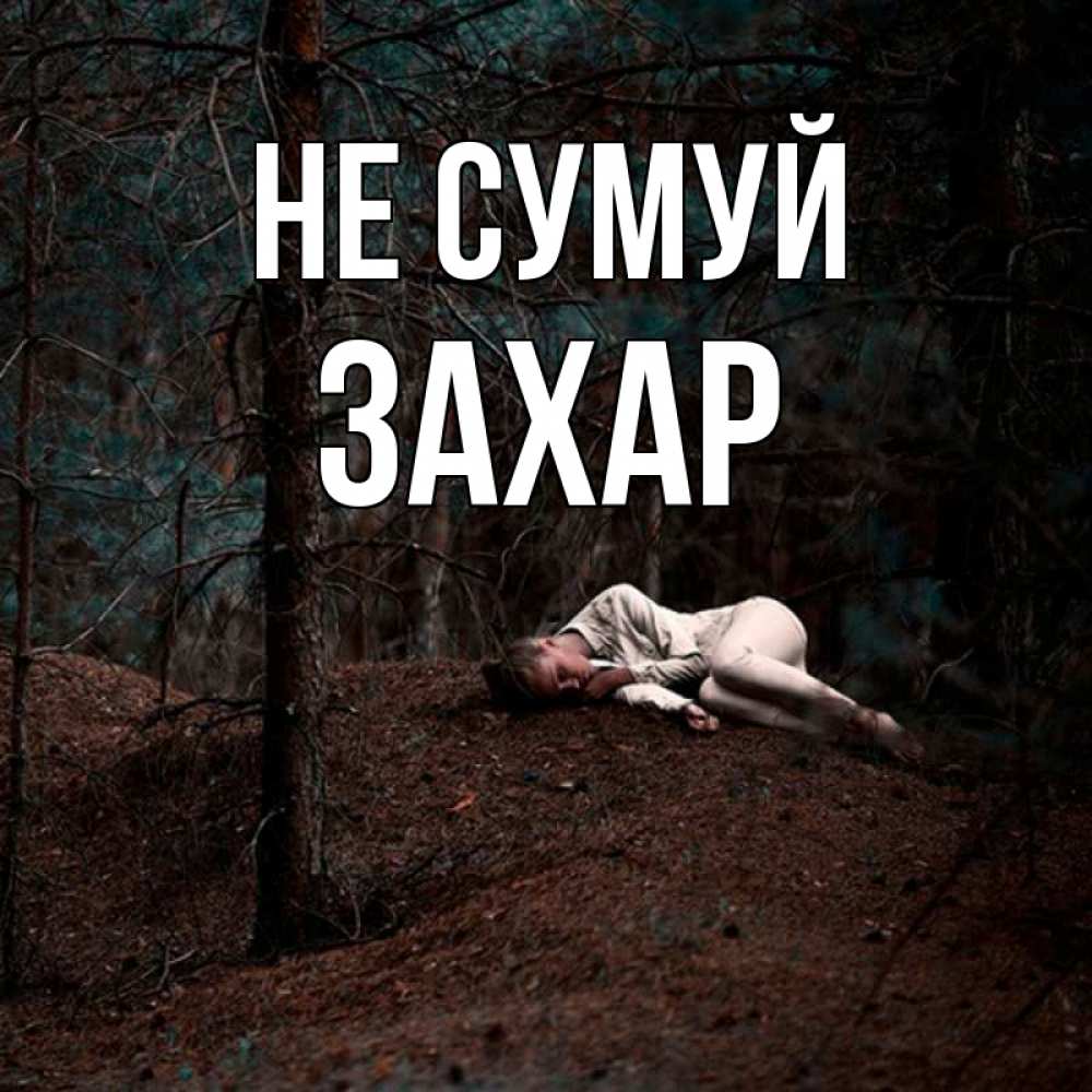Открытка на каждый день з підписом, Захар Не сумуй лес Прикольна листівка з побажанням онлайн скачати безкоштовно 
