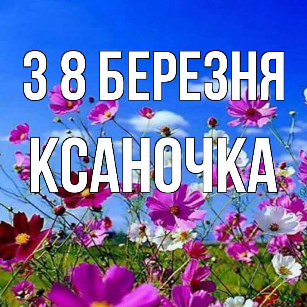 Открытка на каждый день з підписом, Ксаночка З 8 БЕРЕЗНЯ цветы Прикольна листівка з побажанням онлайн скачати безкоштовно 