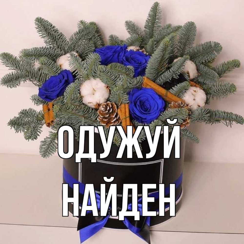 Открытка на каждый день з підписом, Найден Одужуй короче кто то загрузил эти шишки Прикольна листівка з побажанням онлайн скачати безкоштовно 