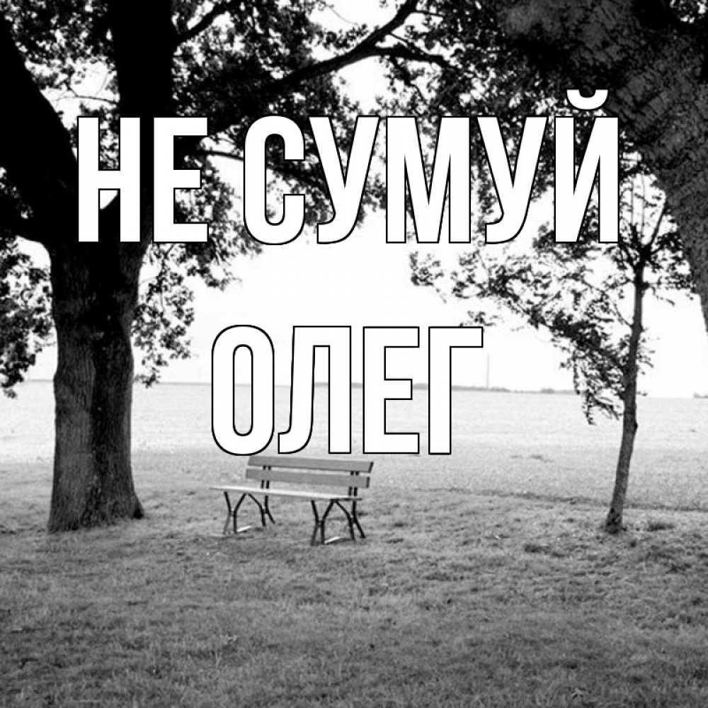 Открытка на каждый день з підписом, Олег Не сумуй мощное дерево Прикольна листівка з побажанням онлайн скачати безкоштовно 