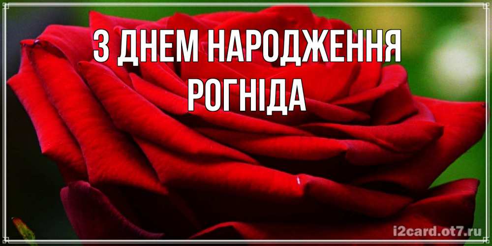 Открытка на каждый день з підписом, Рогніда З Днем народження розочка очень красивая Прикольна листівка з побажанням онлайн скачати безкоштовно 