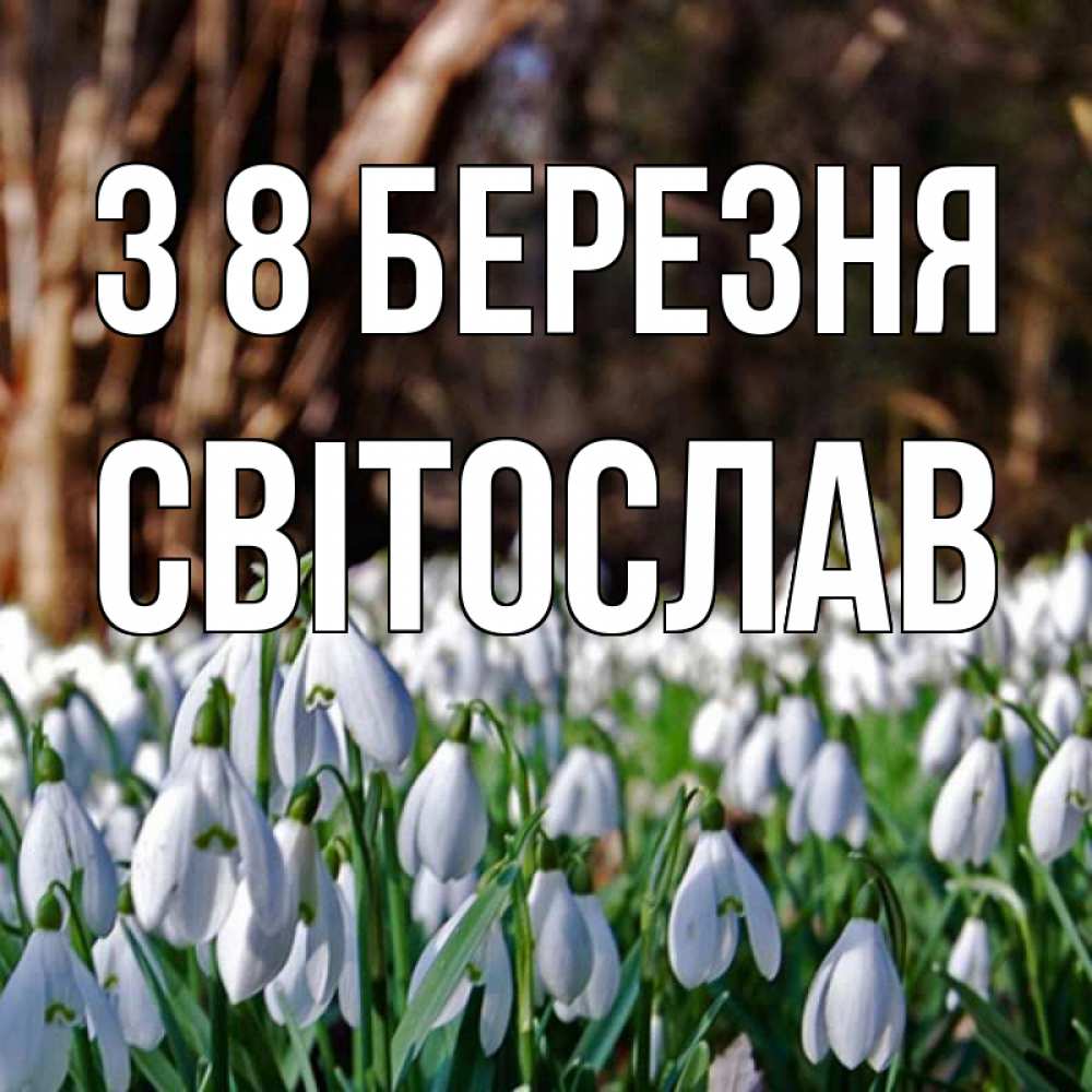 Открытка на каждый день з підписом, Світослав З 8 БЕРЕЗНЯ с подснежниками 1 Прикольна листівка з побажанням онлайн скачати безкоштовно 