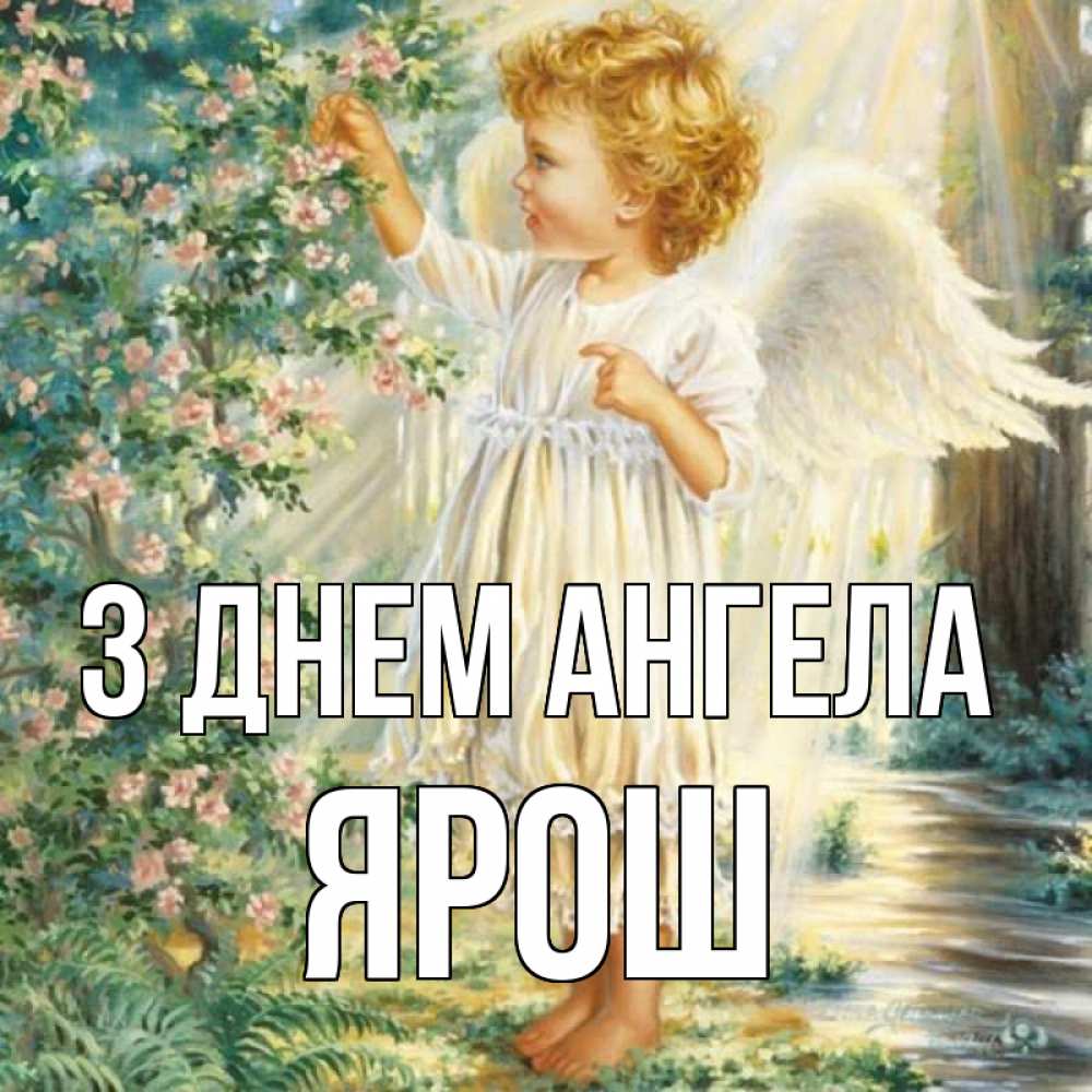Открытка на каждый день з підписом, Ярош З Днем ангела собирает цветы Прикольна листівка з побажанням онлайн скачати безкоштовно 