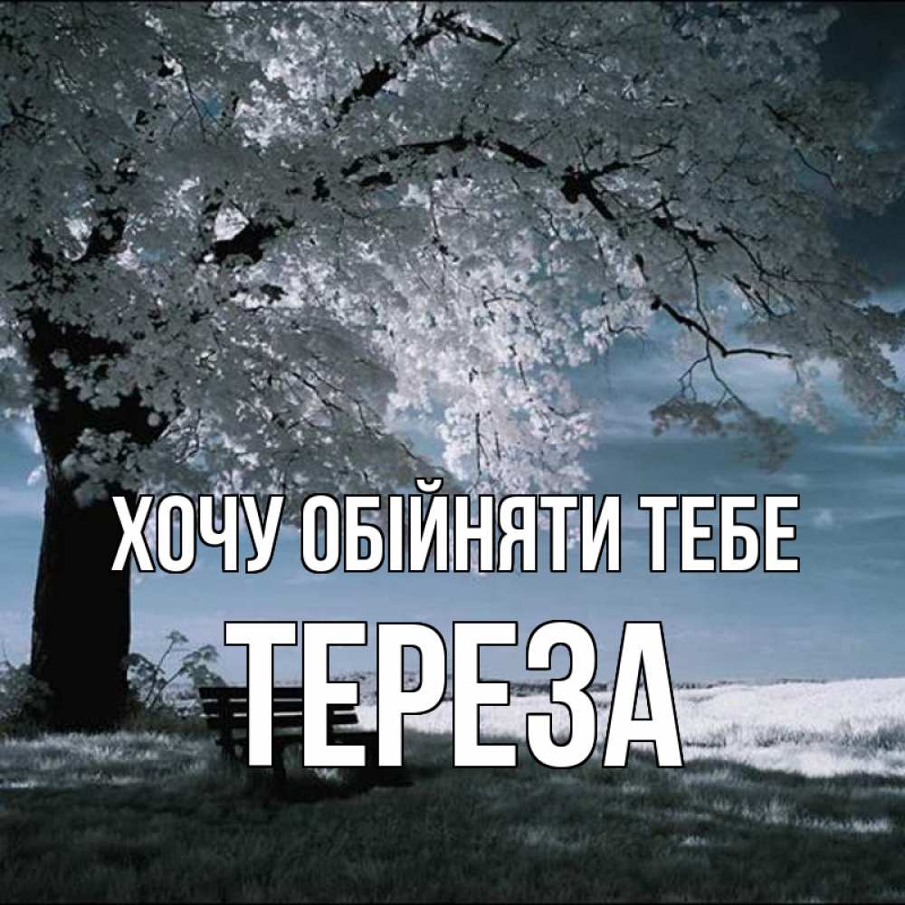 Открытка на каждый день з підписом, Тереза Хочу обійняти тебе дерево Прикольна листівка з побажанням онлайн скачати безкоштовно 