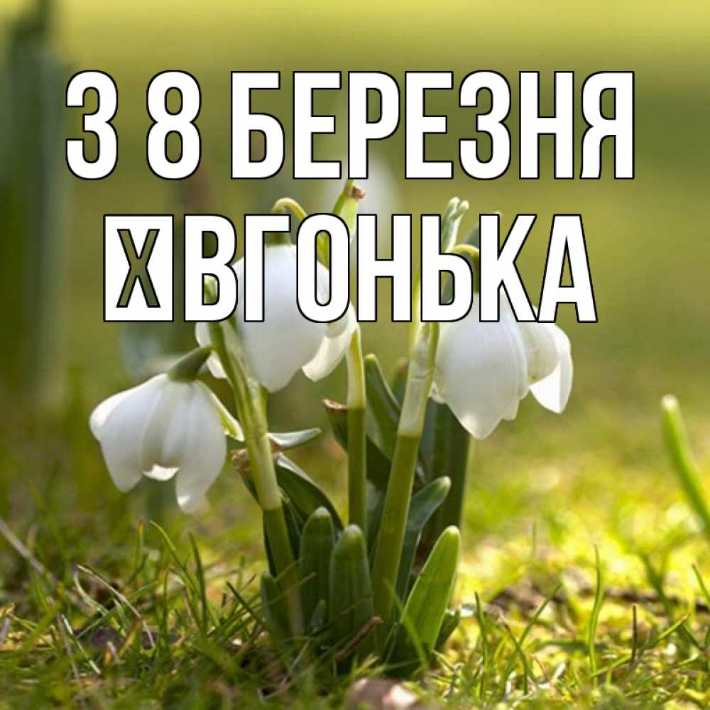 Открытка на каждый день з підписом, Ївгонька З 8 БЕРЕЗНЯ ранние цветы 2 Прикольна листівка з побажанням онлайн скачати безкоштовно 
