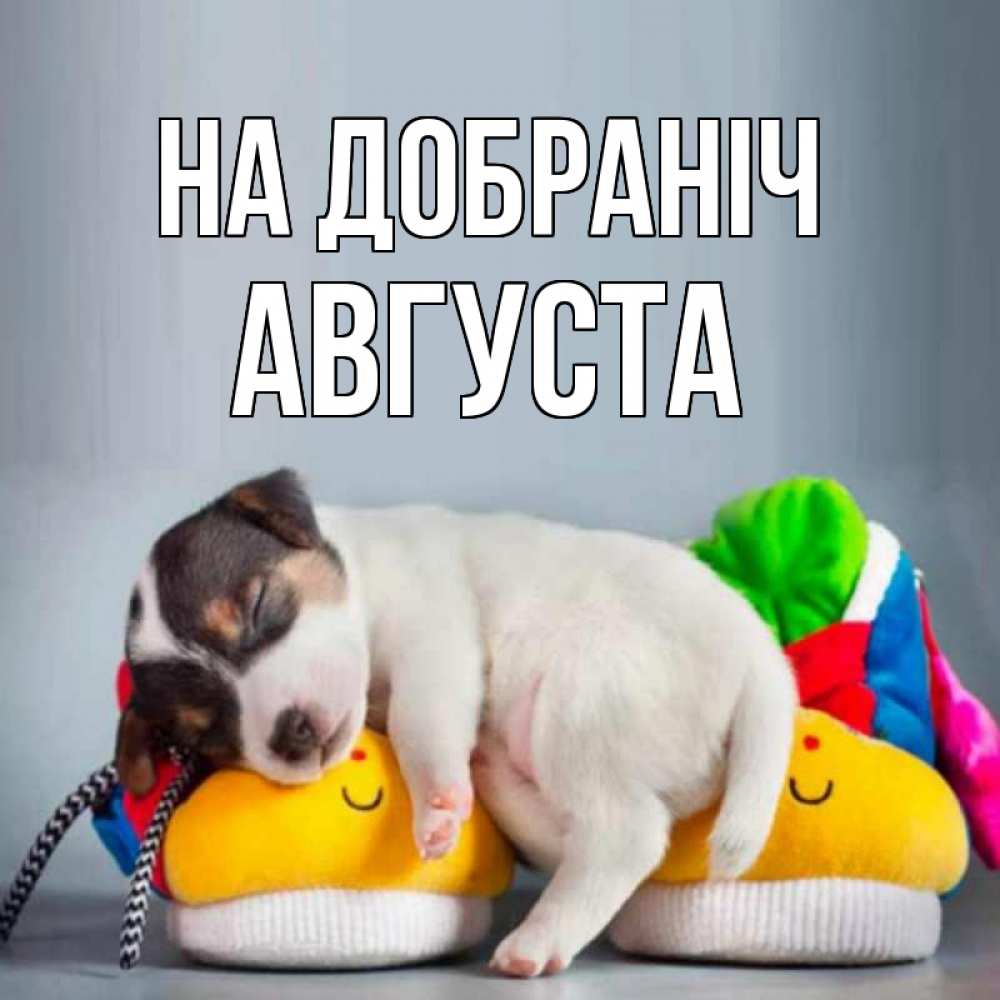 Открытка на каждый день з підписом, Августа На добраніч собачка Прикольна листівка з побажанням онлайн скачати безкоштовно 