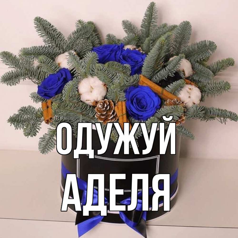 Открытка на каждый день з підписом, Аделя Одужуй короче кто то загрузил эти шишки Прикольна листівка з побажанням онлайн скачати безкоштовно 