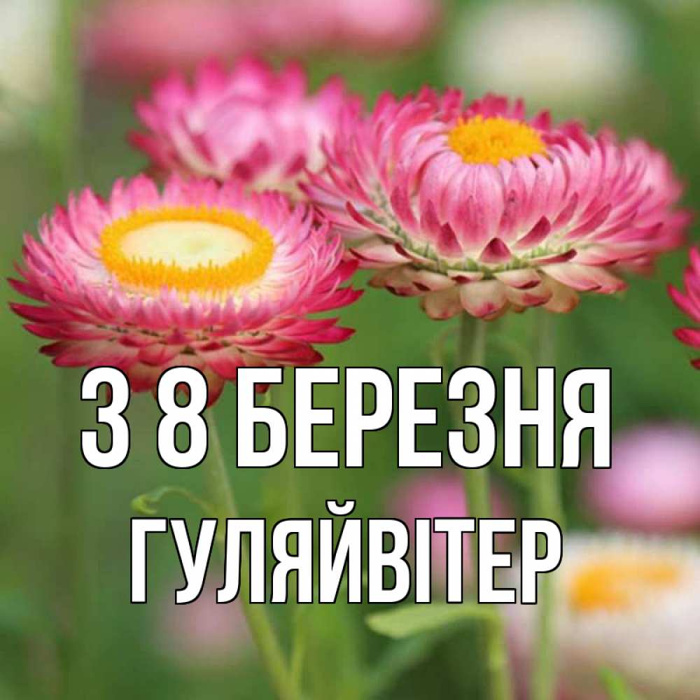 Открытка на каждый день з підписом, Гуляйвітер З 8 БЕРЕЗНЯ подарок на международный женский день Прикольна листівка з побажанням онлайн скачати безкоштовно 