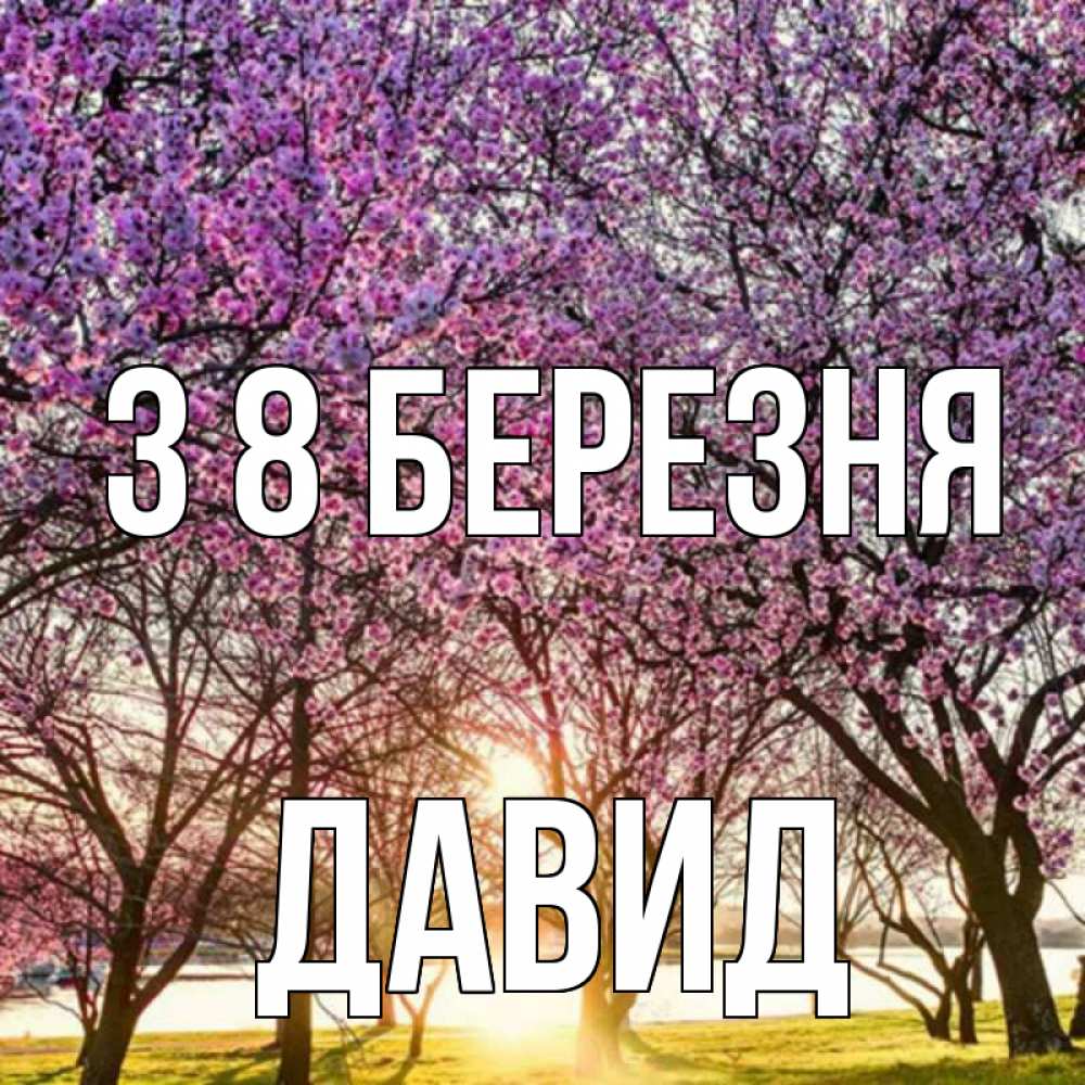 Открытка на каждый день з підписом, Давид З 8 БЕРЕЗНЯ международный женский день Прикольна листівка з побажанням онлайн скачати безкоштовно 