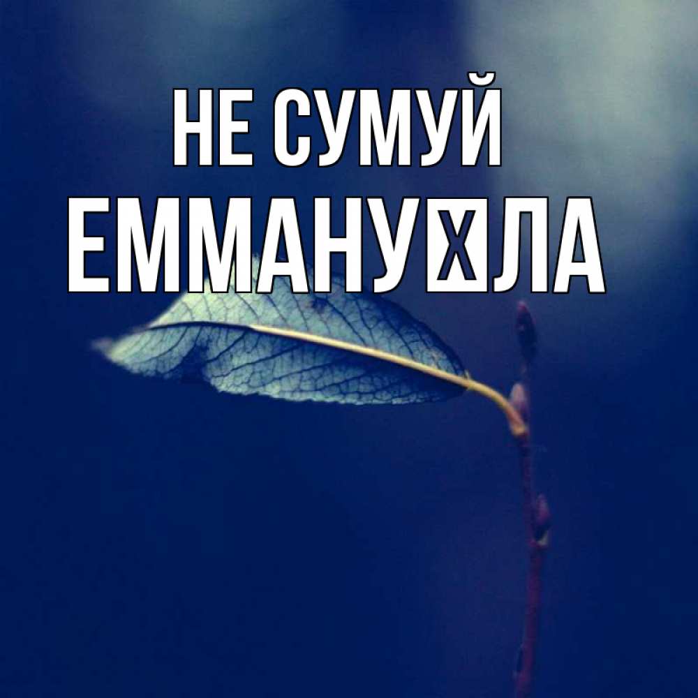 Открытка на каждый день з підписом, Еммануїла Не сумуй растение Прикольна листівка з побажанням онлайн скачати безкоштовно 