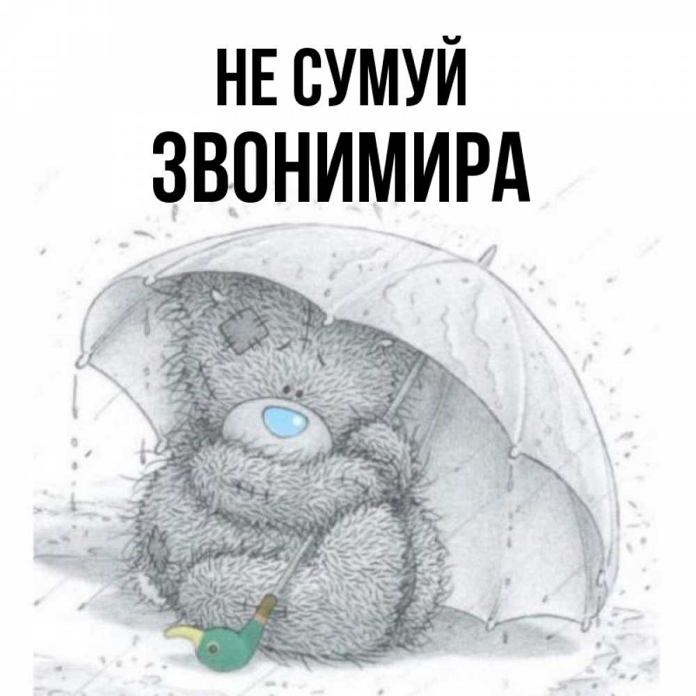 Открытка на каждый день з підписом, Звонимира Не сумуй спасите мишку Тедди Прикольна листівка з побажанням онлайн скачати безкоштовно 