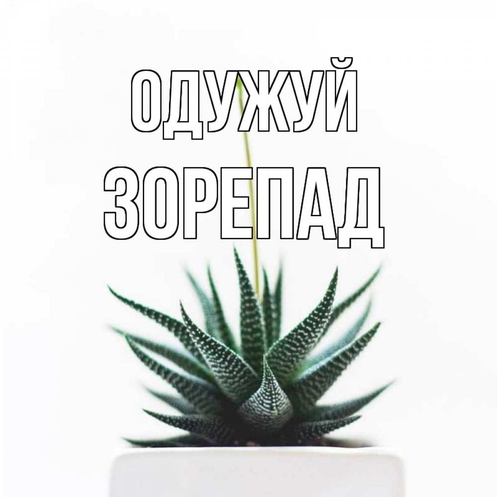Открытка на каждый день з підписом, Зорепад Одужуй короче это непонятная колючка Прикольна листівка з побажанням онлайн скачати безкоштовно 