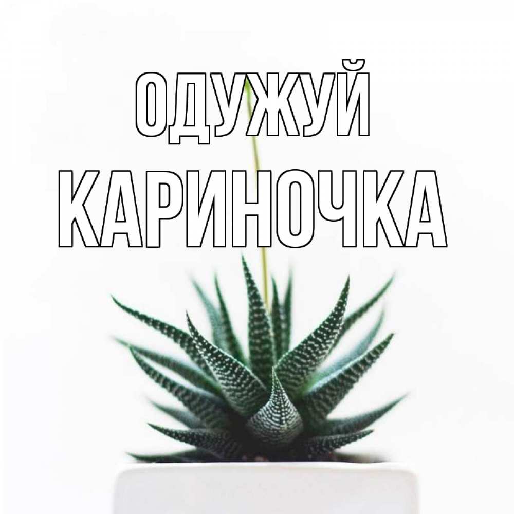 Открытка на каждый день з підписом, Кариночка Одужуй короче это непонятная колючка Прикольна листівка з побажанням онлайн скачати безкоштовно 