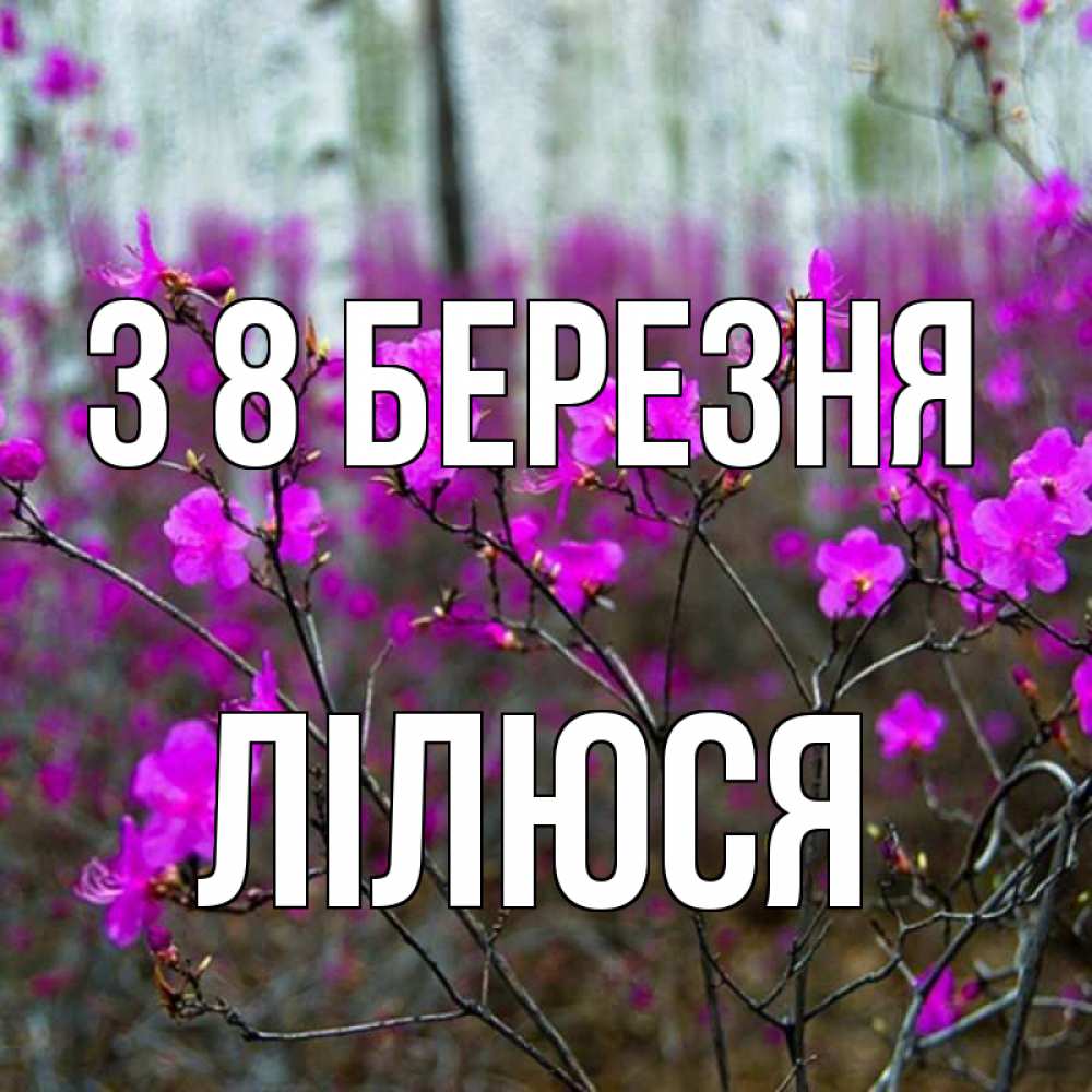 Открытка на каждый день з підписом, Лілюся З 8 БЕРЕЗНЯ дикие цветы Прикольна листівка з побажанням онлайн скачати безкоштовно 