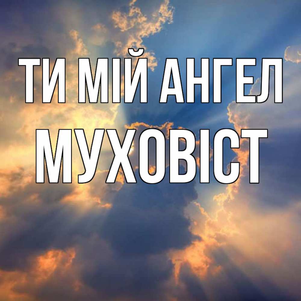 Открытка на каждый день з підписом, Муховіст Ти мій ангел ангельский свет сквозь облака Прикольна листівка з побажанням онлайн скачати безкоштовно 