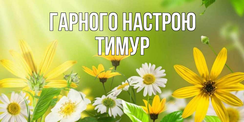 Открытка на каждый день з підписом, Тимур Гарного настрою цветы Прикольна листівка з побажанням онлайн скачати безкоштовно 