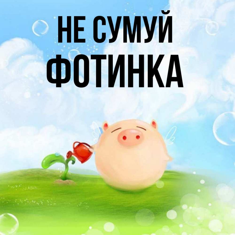 Открытка на каждый день з підписом, Фотинка Не сумуй поливает цветок порося Прикольна листівка з побажанням онлайн скачати безкоштовно 