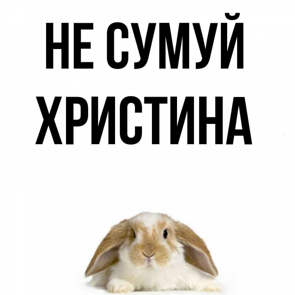Открытка на каждый день з підписом, Христина Не сумуй коричнево белый заяц с большими ушками Прикольна листівка з побажанням онлайн скачати безкоштовно 