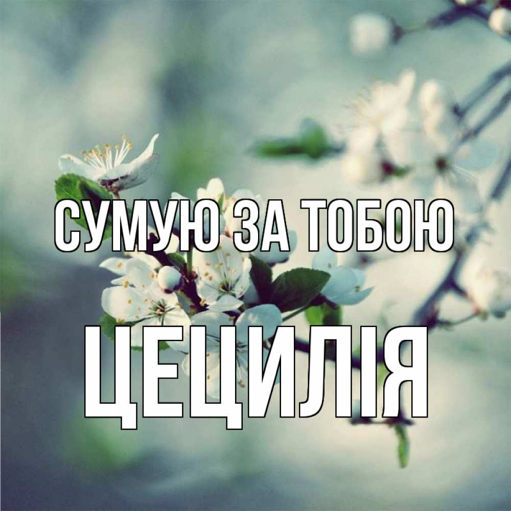 Открытка на каждый день з підписом, Цецилія Сумую за тобою весна Прикольна листівка з побажанням онлайн скачати безкоштовно 