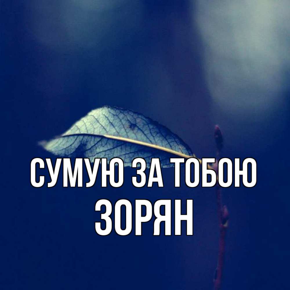 Открытка на каждый день з підписом, Зорян Сумую за тобою одна ветка 1 Прикольна листівка з побажанням онлайн скачати безкоштовно 