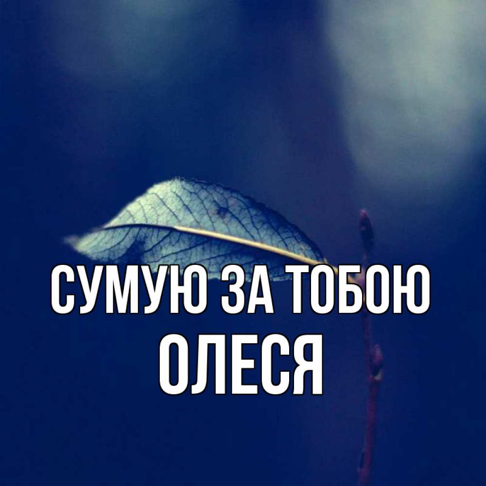 Открытка на каждый день з підписом, Олеся Сумую за тобою одна ветка 1 Прикольна листівка з побажанням онлайн скачати безкоштовно 