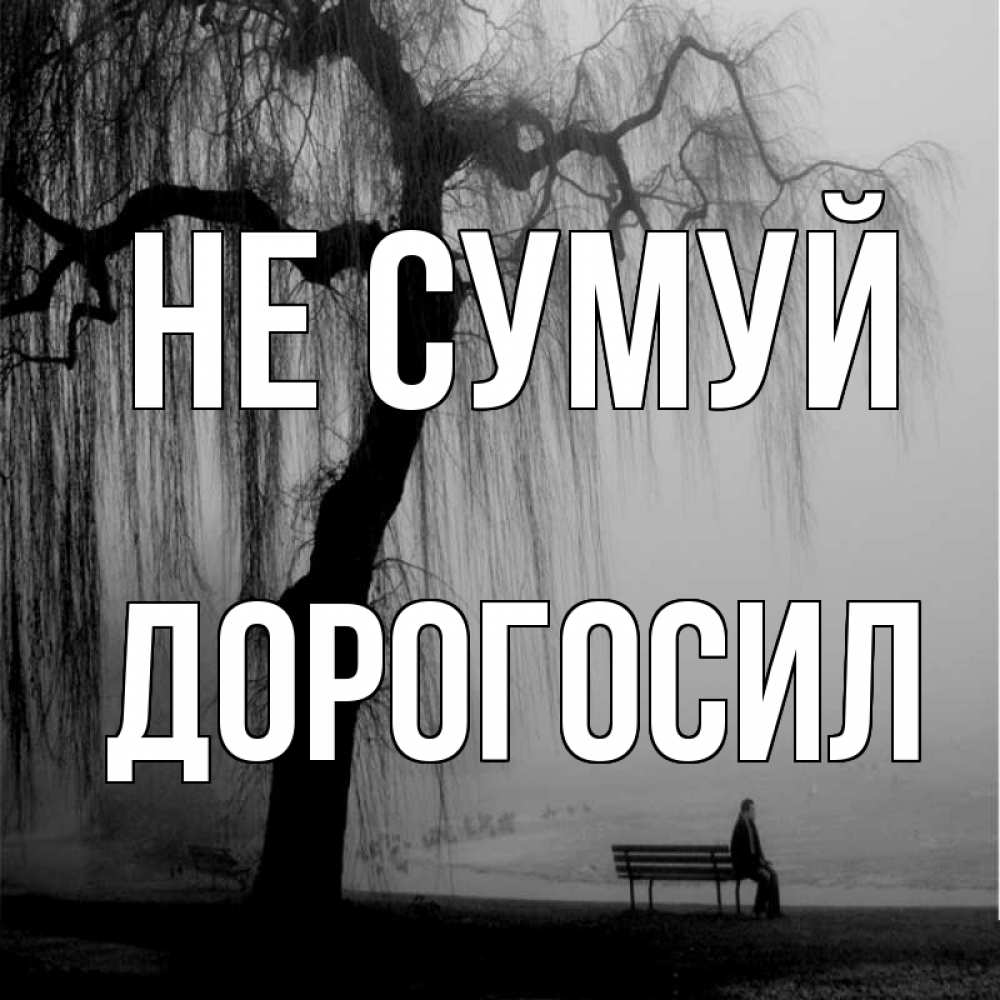 Открытка на каждый день з підписом, Дорогосил Не сумуй висящие ветки дерева и лавочка под деревом Прикольна листівка з побажанням онлайн скачати безкоштовно 