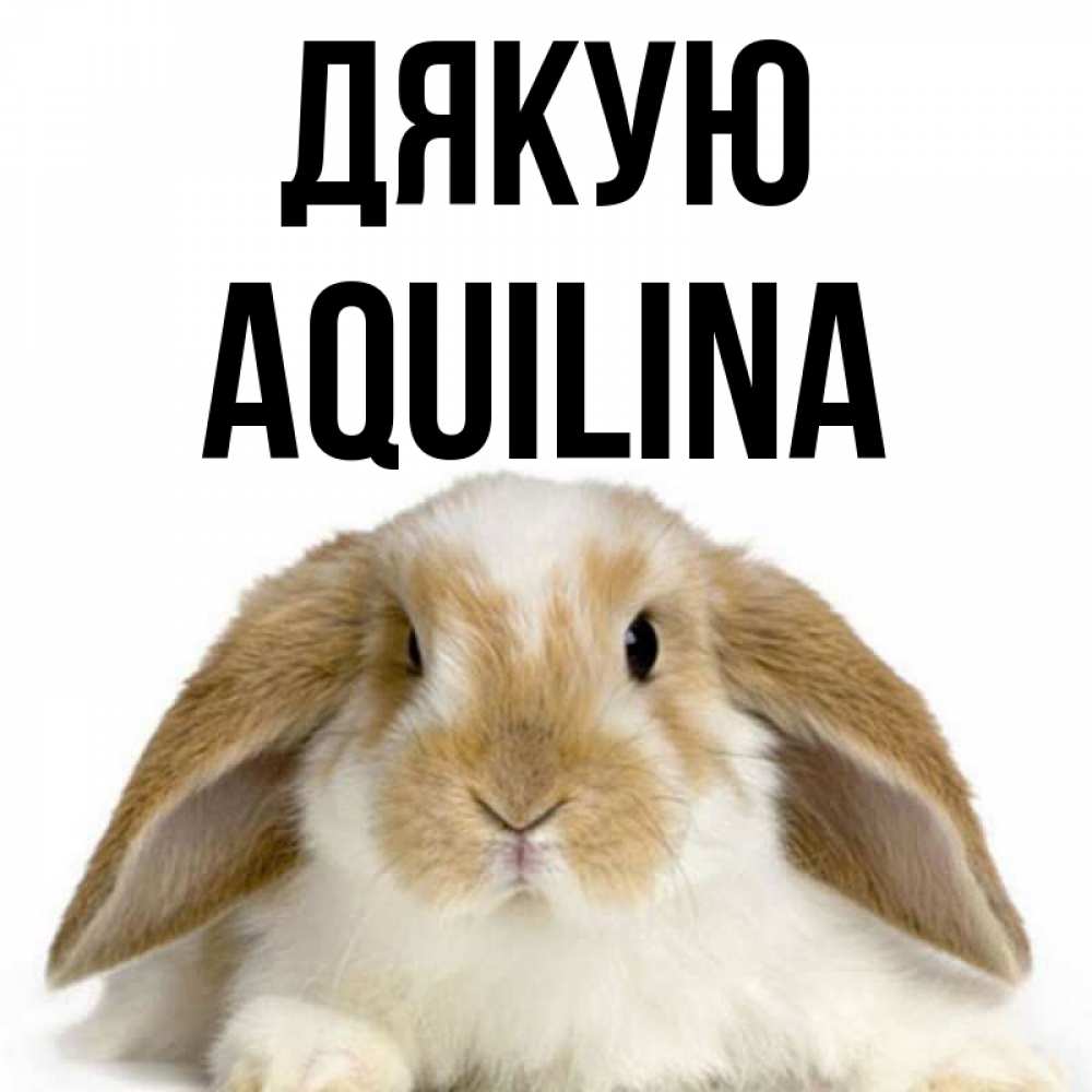 Открытка на каждый день з підписом, Aquilina Дякую коричнево белый заяц Прикольна листівка з побажанням онлайн скачати безкоштовно 