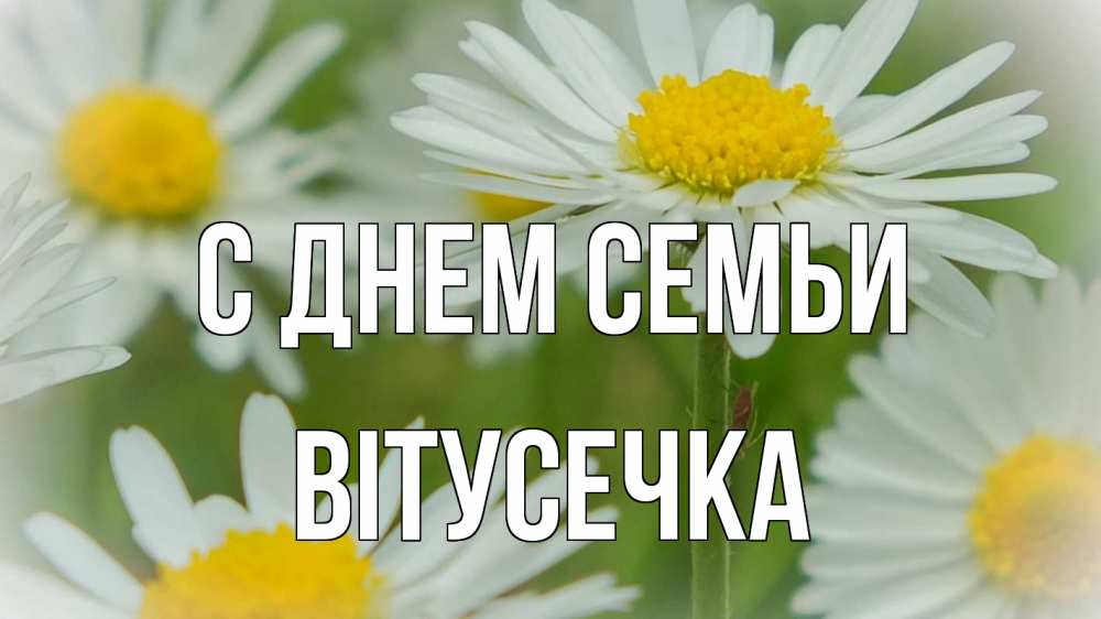 Открытка на каждый день з підписом, Вітусечка С днем семьи с днем семьи  1 Прикольна листівка з побажанням онлайн скачати безкоштовно 