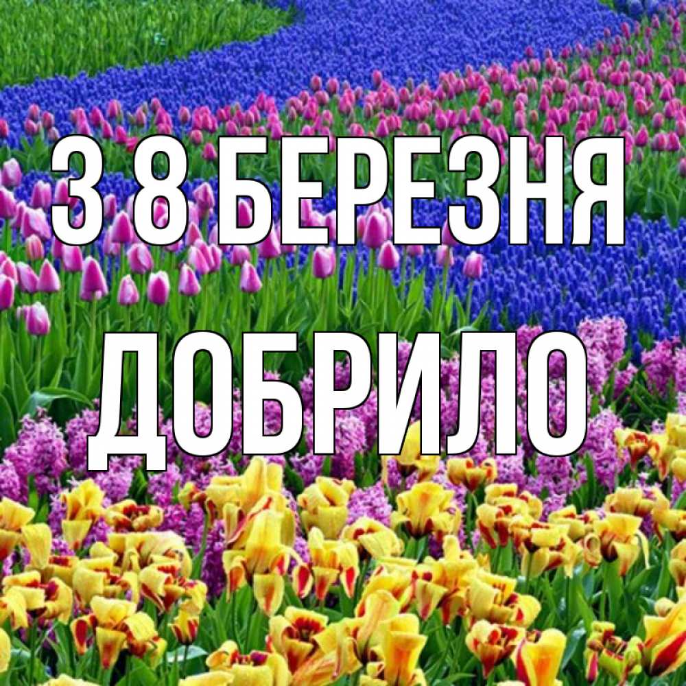 Открытка на каждый день з підписом, Добрило З 8 БЕРЕЗНЯ цветы Прикольна листівка з побажанням онлайн скачати безкоштовно 