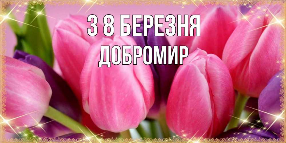 Открытка на каждый день з підписом, Добромир З 8 БЕРЕЗНЯ тюльпаны для женщины на международный женский день Прикольна листівка з побажанням онлайн скачати безкоштовно 