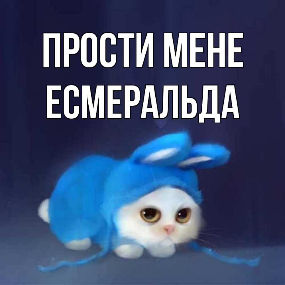 Открытка на каждый день з підписом, Есмеральда Прости мене невинный котозай просит прощения Прикольна листівка з побажанням онлайн скачати безкоштовно 