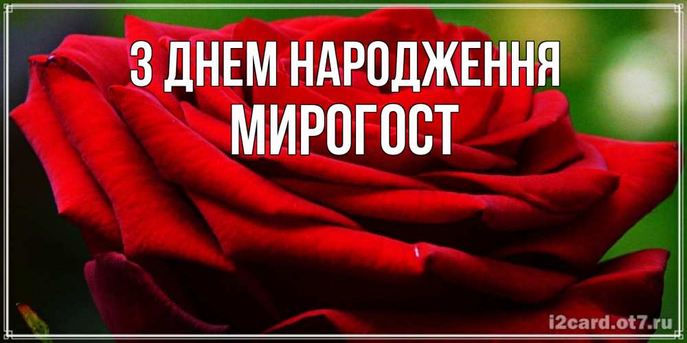 Открытка на каждый день з підписом, Мирогост З Днем народження розочка очень красивая Прикольна листівка з побажанням онлайн скачати безкоштовно 