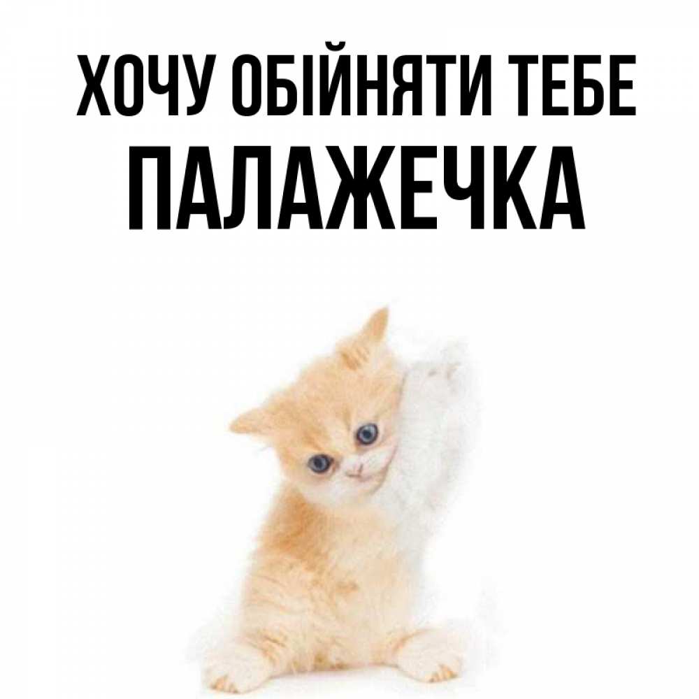 Открытка на каждый день з підписом, Палажечка Хочу обійняти тебе я хочу очень скорее обнимаешек Прикольна листівка з побажанням онлайн скачати безкоштовно 