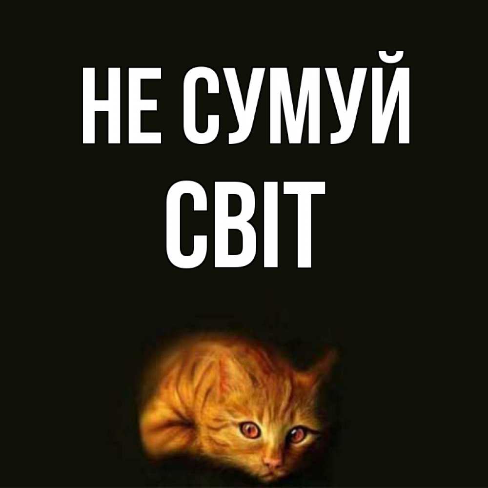 Открытка на каждый день з підписом, Світ Не сумуй лежащий кот в темноте Прикольна листівка з побажанням онлайн скачати безкоштовно 