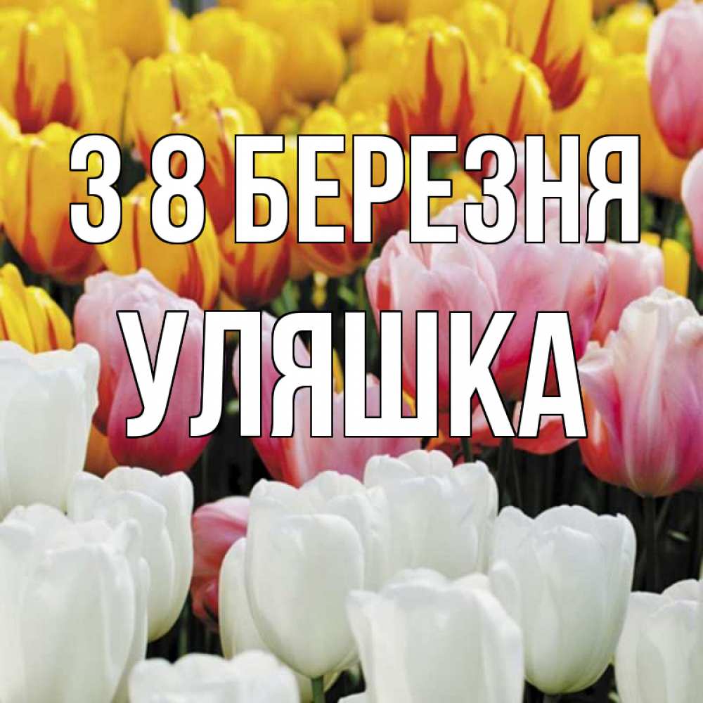 Открытка на каждый день з підписом, Уляшка З 8 БЕРЕЗНЯ разноцветные цветы Прикольна листівка з побажанням онлайн скачати безкоштовно 