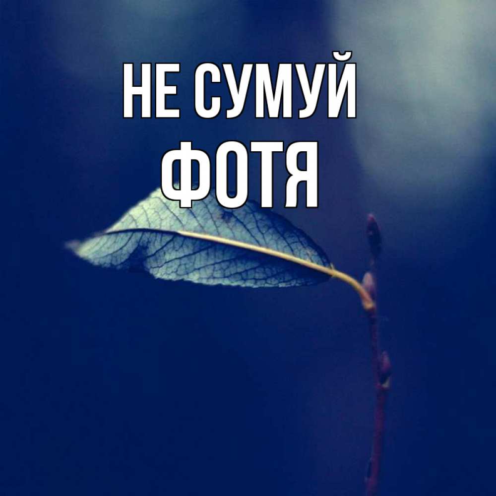 Открытка на каждый день з підписом, Фотя Не сумуй растение Прикольна листівка з побажанням онлайн скачати безкоштовно 