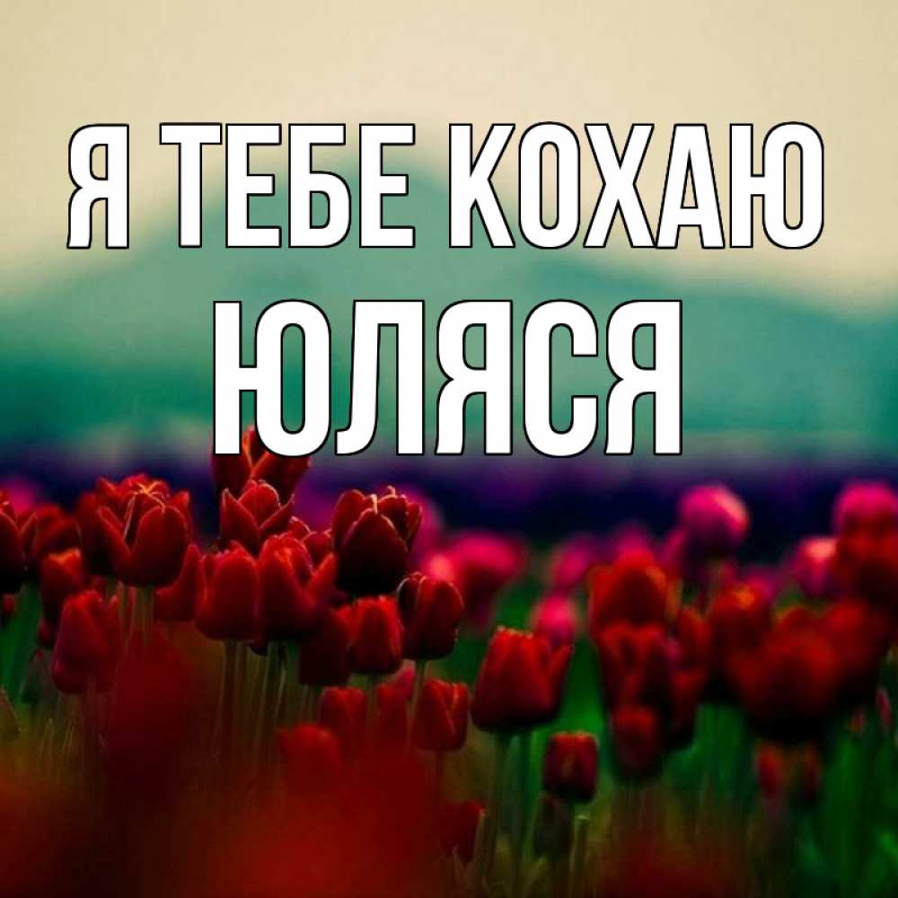 Открытка на каждый день з підписом, Юляся Я тебе кохаю тюльпаны 4 Прикольна листівка з побажанням онлайн скачати безкоштовно 
