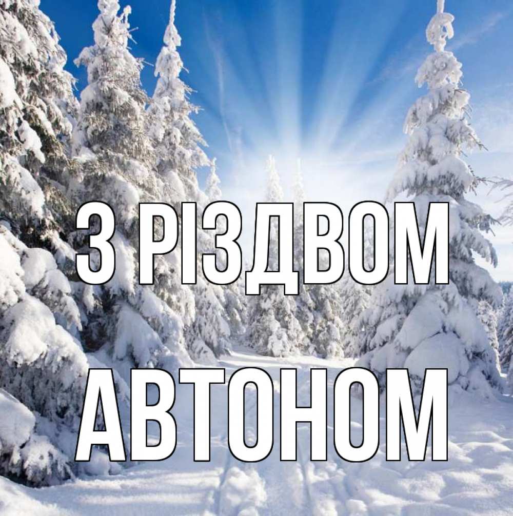 Открытка на каждый день з підписом, Автоном З Різдвом зима, лес Прикольна листівка з побажанням онлайн скачати безкоштовно 