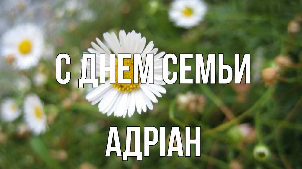 Открытка на каждый день з підписом, Адріан С днем семьи с днем семьи Прикольна листівка з побажанням онлайн скачати безкоштовно 