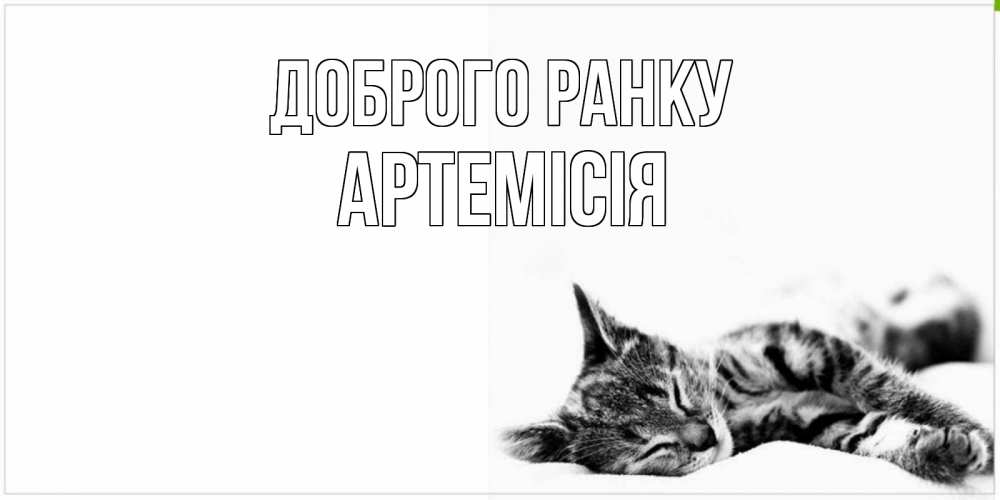 Открытка на каждый день з підписом, Артемісія Доброго ранку котуся Прикольна листівка з побажанням онлайн скачати безкоштовно 