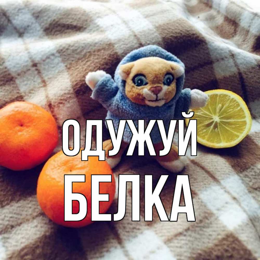 Открытка на каждый день з підписом, Белка Одужуй вот тебе апельсинка и лимон Прикольна листівка з побажанням онлайн скачати безкоштовно 