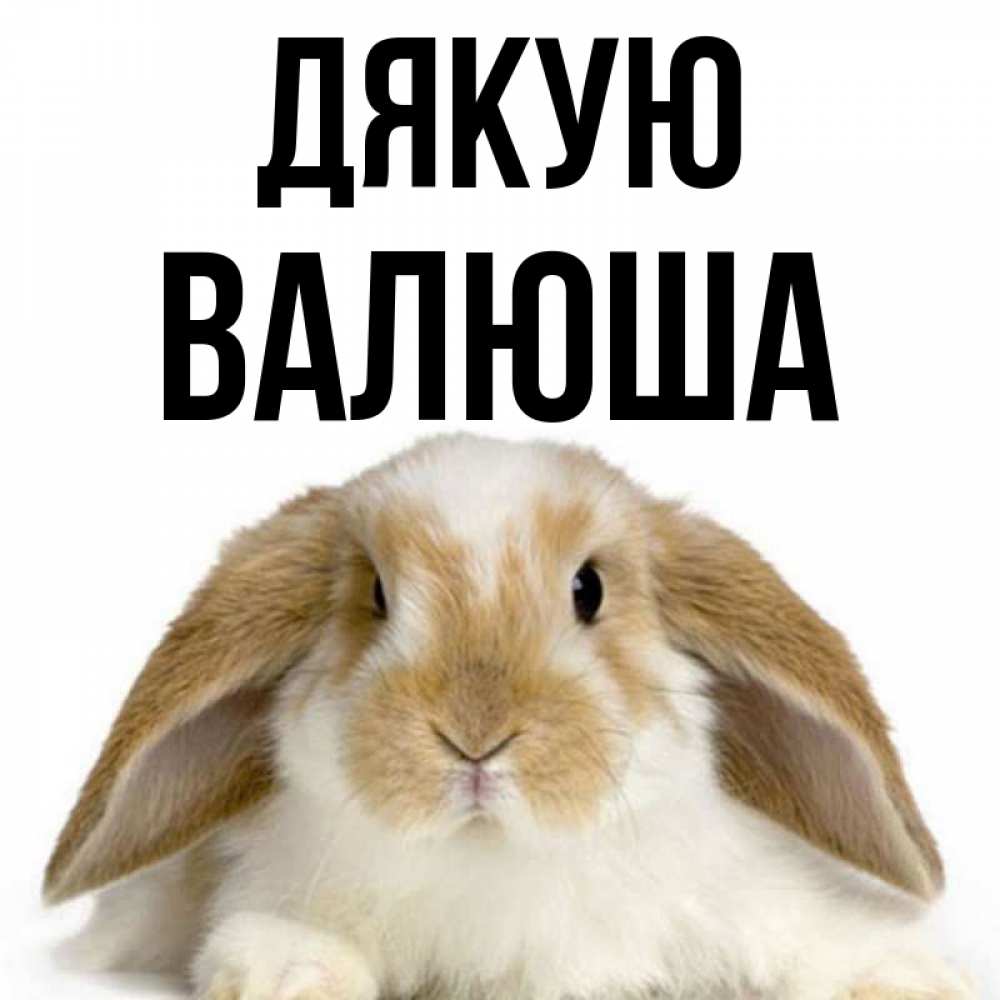 Открытка на каждый день з підписом, Валюша Дякую коричнево белый заяц Прикольна листівка з побажанням онлайн скачати безкоштовно 